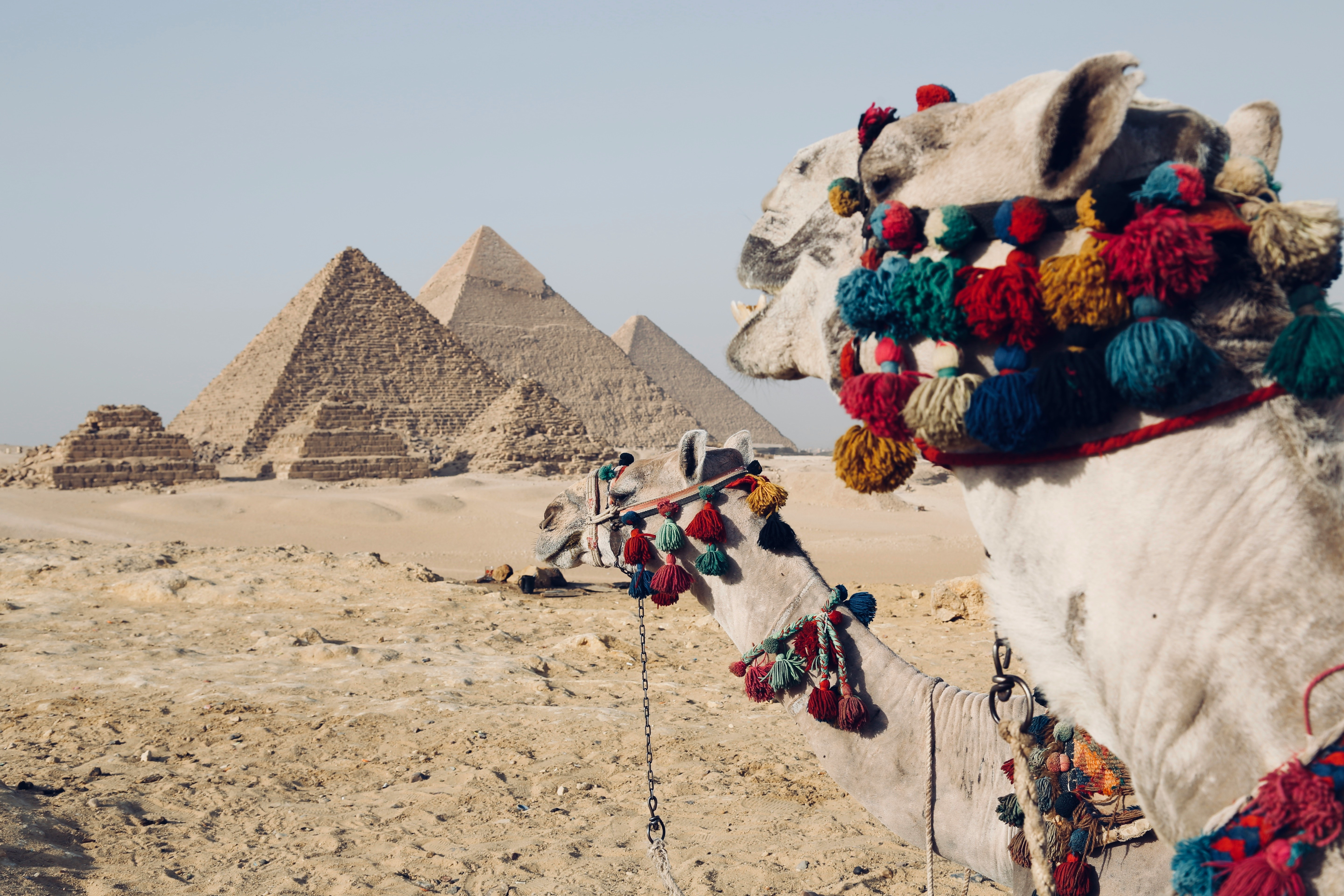 Majestic Giza: Half-Day Pyramids & Sphinx Tour