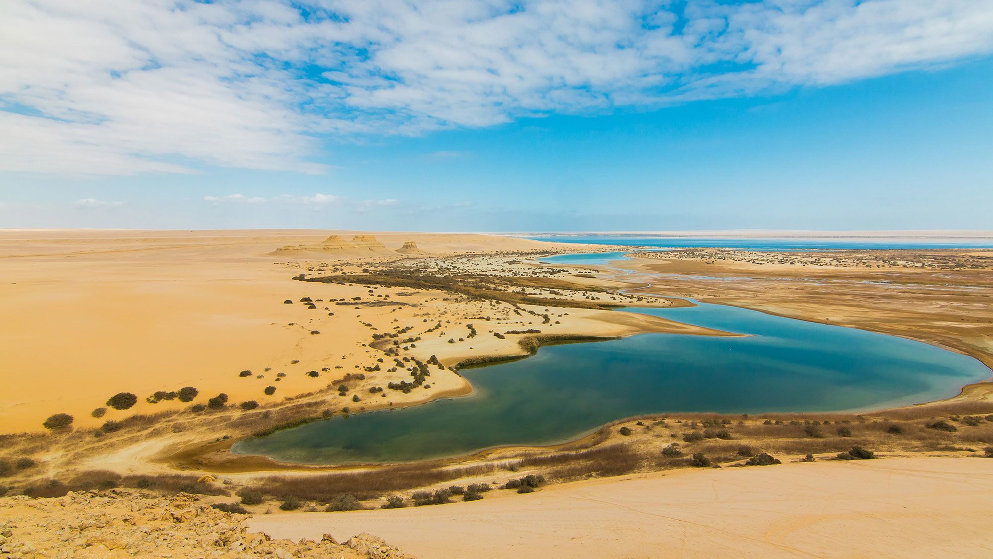 Fayoum Oasis Adventure: Full-Day Nature & History Excursion